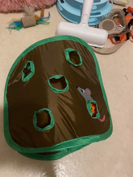 Uusi kissa tarvikkeet Vantaa - valokuva 6