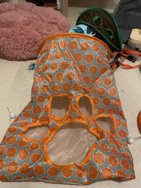 Uusi kissa tarvikkeet Vantaa - valokuva 5