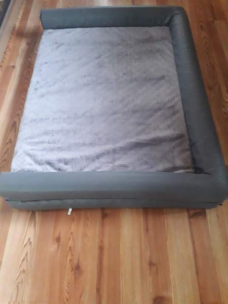 Koiran peti Lahti - valokuva 1