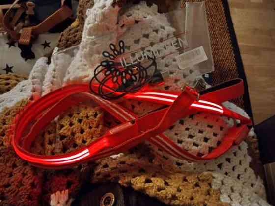 Talutin valolla Yloejaervi