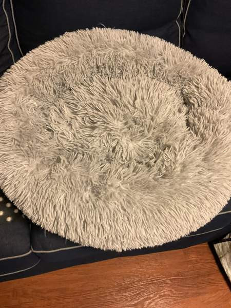 Koiran pörröpedit 70 cm ja 60 cm Lahti - valokuva 2