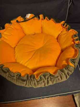 Uusi koiranpeti 35 cm Лахти