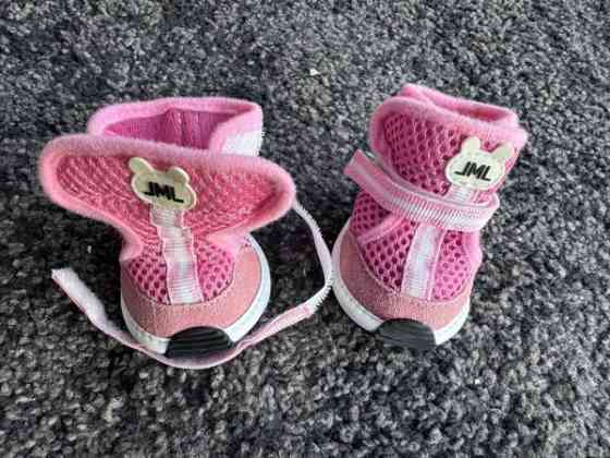 koiran kengät Turku