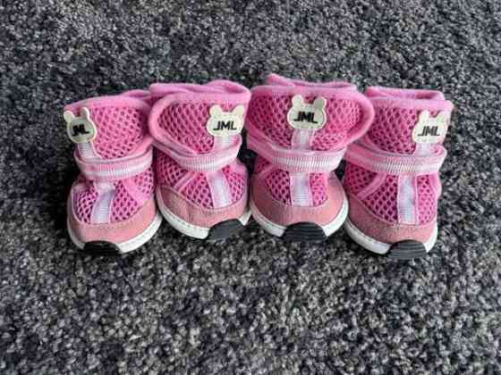 koiran kengät Turku