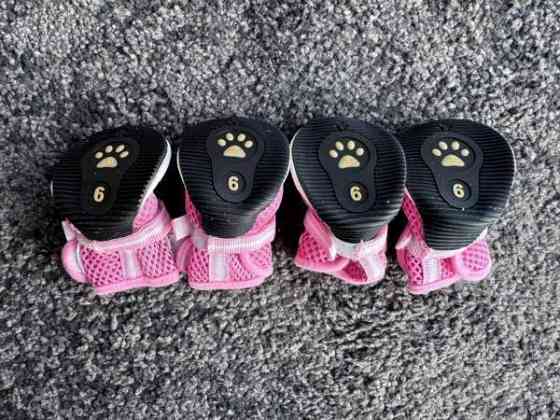 koiran kengät Turku