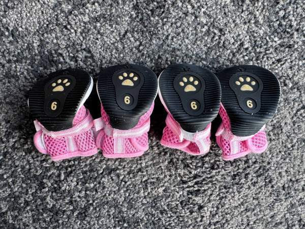 koiran kengät Turku - valokuva 4