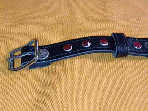 Koiran kaulapanta Tuusula