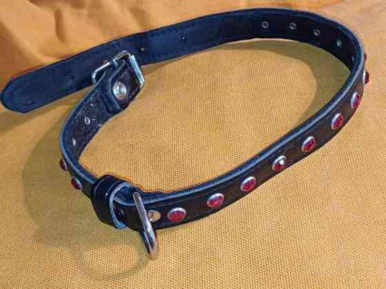 Koiran kaulapanta Tuusula