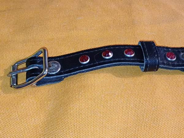 Koiran kaulapanta Tuusula - valokuva 2