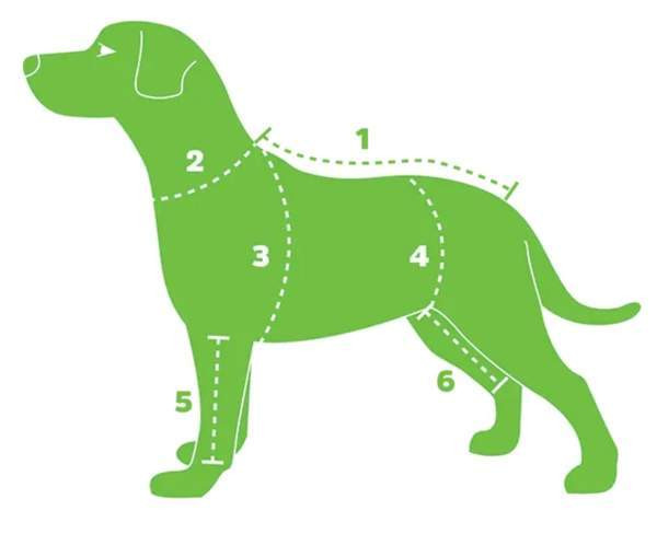 Valjaat ja panta Woolly Wolf Woodland Eura – foto 8