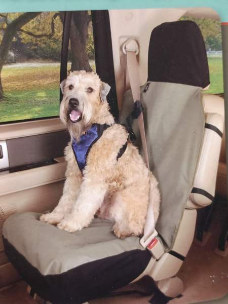 Penkinsuoja Eura - valokuva 1