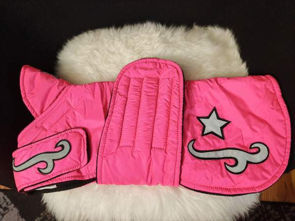 Koiran mantteli / takki Ylöjärvi - valokuva 2