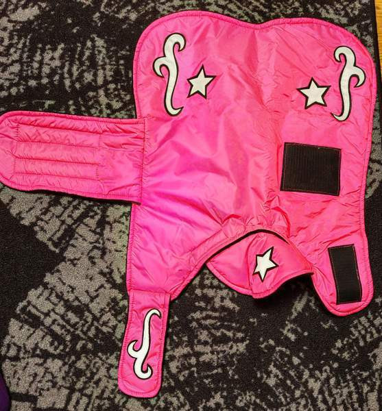 Koiran mantteli / takki Ylöjärvi - valokuva 8