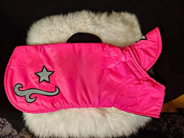 Koiran mantteli / takki Ylöjärvi - valokuva 1