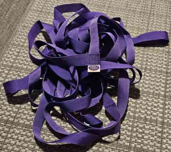 Vähänkäytetty Dogsport ruutunauha (toko) Naantali