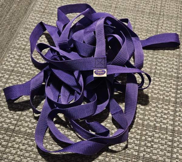 Vähänkäytetty Dogsport ruutunauha (toko) Naantali – foto 1