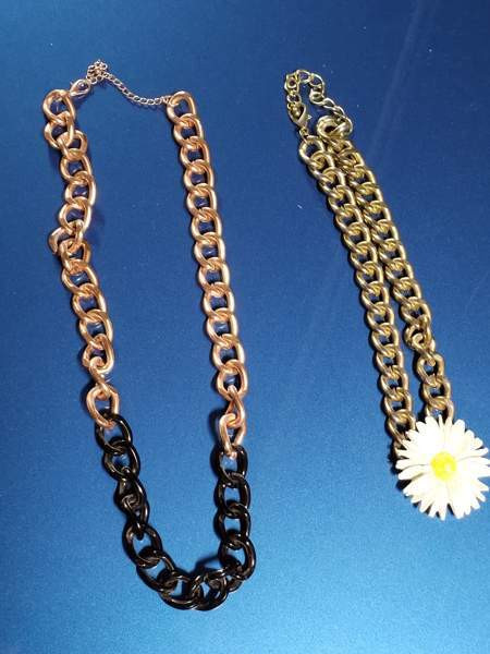 Koiran kaulapanta Lahti - valokuva 1