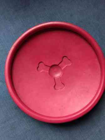 Koiran frisbee Porvoo