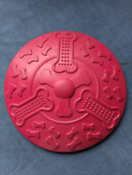 Koiran frisbee Porvoo – foto 1