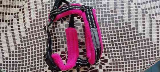 Kusse & Kutta -merkkiset koiranvaljaat Tampere