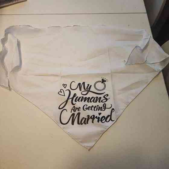 Huivi eläimelle hääjuhlaan Turku