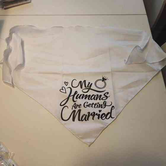 Huivi eläimelle hääjuhlaan Turku