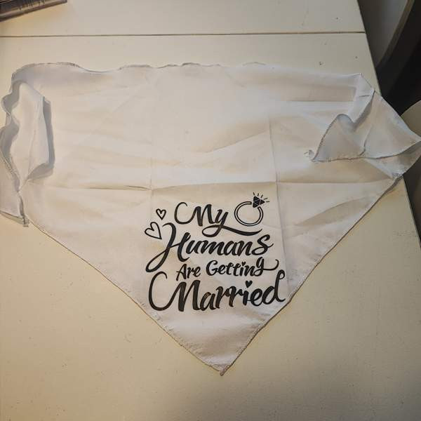 Huivi eläimelle hääjuhlaan Turku - valokuva 2