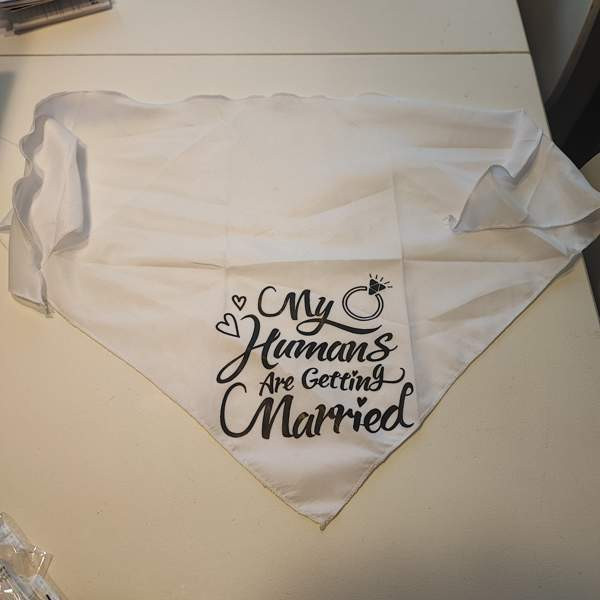 Huivi eläimelle hääjuhlaan Turku - valokuva 1