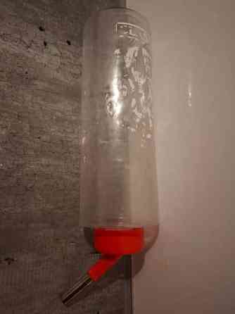 Jyrsijän juomapullo Masku