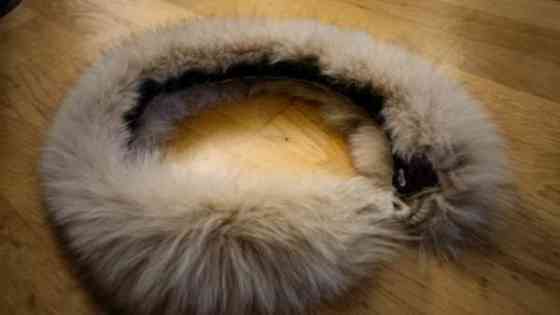 Minkkipuuhka, minkin nahka puuhka Эспоо