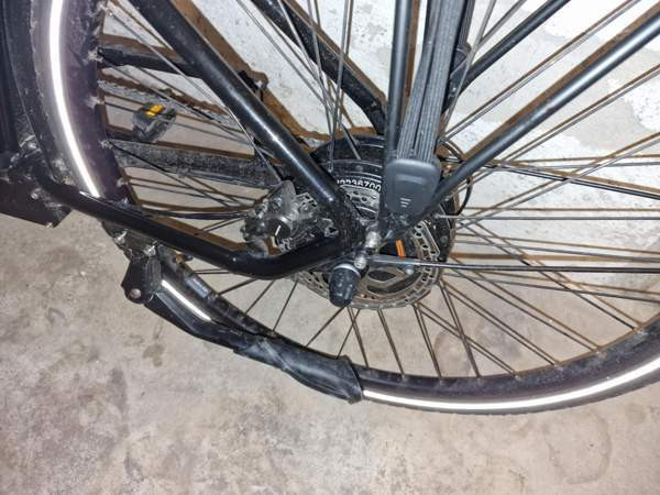 2023 Ecoride Ambassador X AXS H-9 Vantaa - photo 6