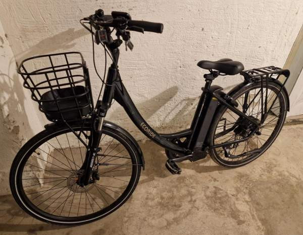 2023 Ecoride Ambassador X AXS H-9 Vantaa - photo 1