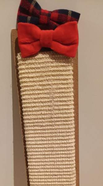 Kissan raapimislauta Vantaa - valokuva 1