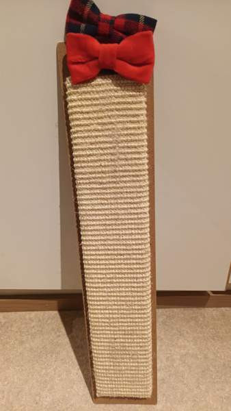 Kissan raapimislauta Vantaa - valokuva 2