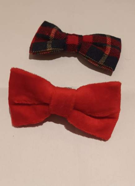 Kissan raapimislauta Vantaa - valokuva 4