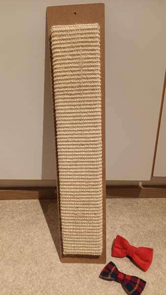 Kissan raapimislauta Vantaa - valokuva 3