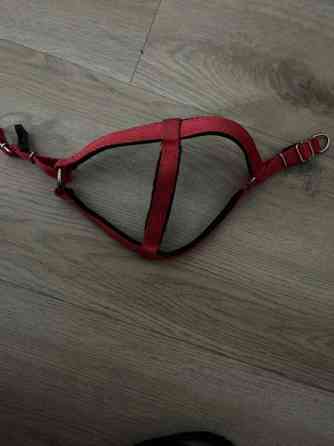 koiran hihna ja/tai valjaat Вантаа