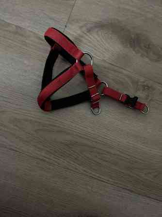 koiran hihna ja/tai valjaat Вантаа
