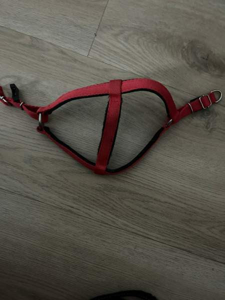 koiran hihna ja/tai valjaat Vantaa - valokuva 3