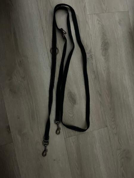 koiran hihna ja/tai valjaat Vantaa - valokuva 1