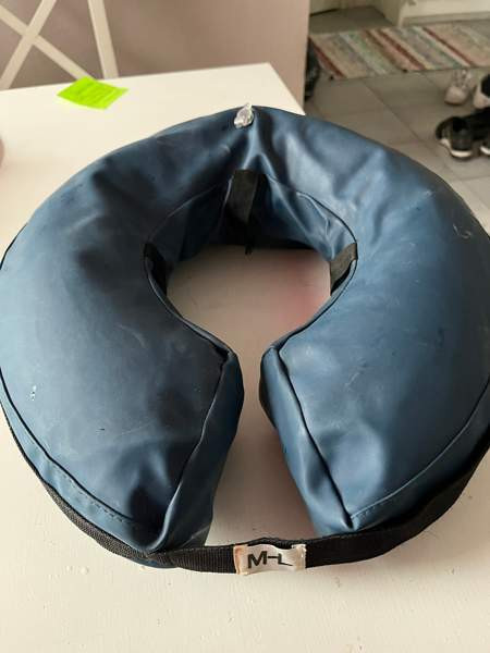 Koiran puhallettava kauluri Hyvinge – foto 1