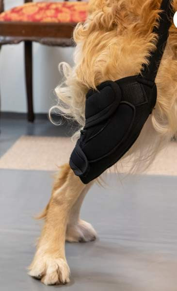 Taituki Polvituki L koko, oikea jalka Lempaeaelae - photo 1