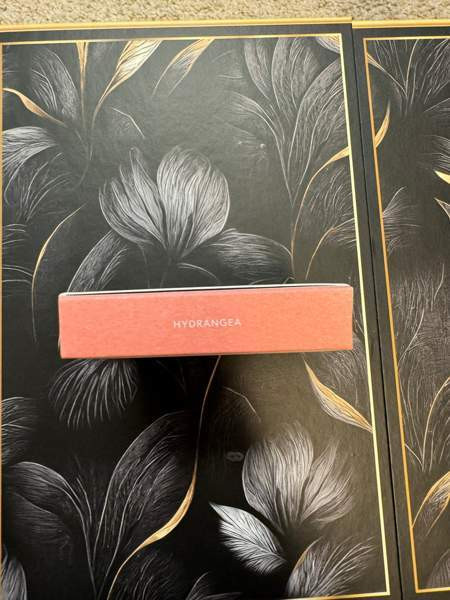 Rose Inc poskipuna hydrangea Эспоо - изображение 5