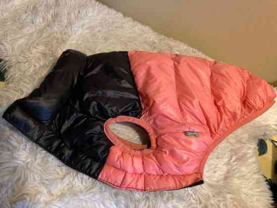 Koiran söpö toppapuku Vantaa