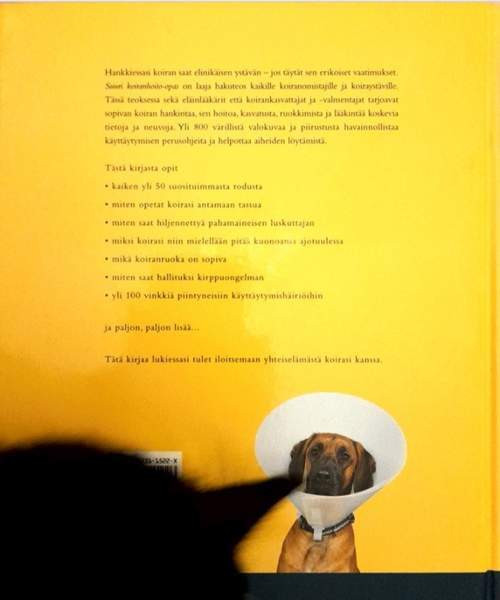 Koiran hoito-opaskirja Лахти - изображение 2
