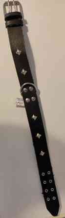 Kaulapanta koiralle Helsinki