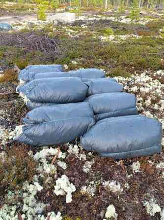 Poronjäkälä Kajaani