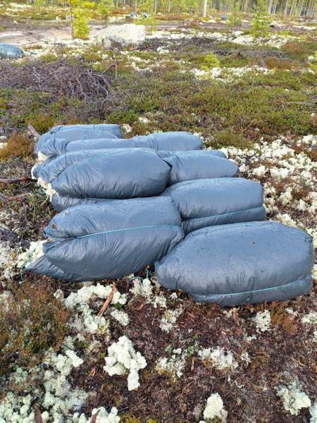 Poronjäkälä Каяни - изображение 1