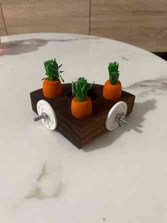 Kanin aktivointilelu Valkeakoski