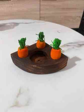 Kanin aktivointilelu Valkeakoski